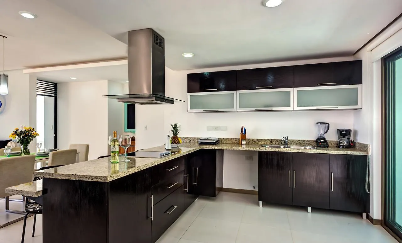 公寓式酒店 Acacia Condos Playa Paraiso